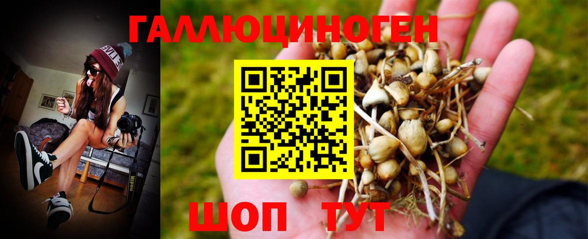 Галлюциногенные грибы GOLDEN TEACHER Минусинск